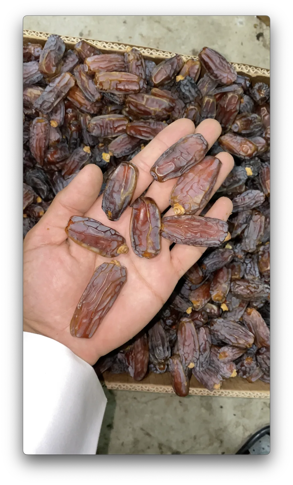 Harga Kurma Mabroom Terbaru: Panduan per Kemasan dan Cara Belinya
