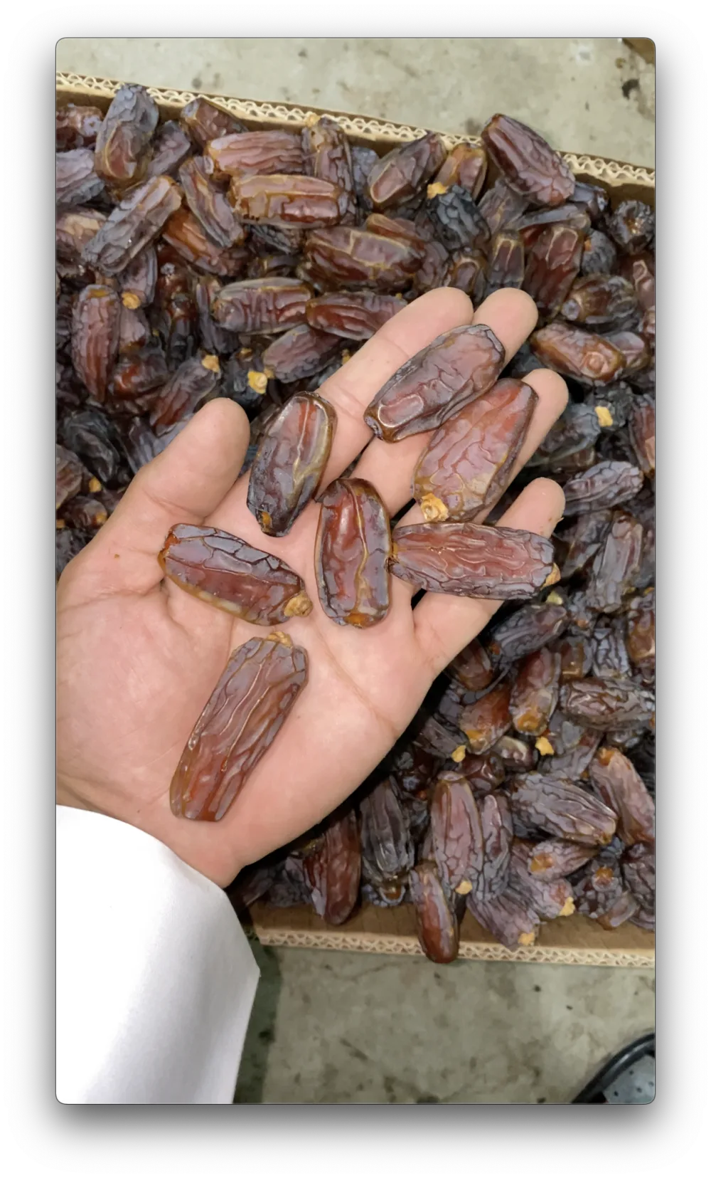 Mabroom Dates for Pregnancy: A Conservative, Research-Based Guide