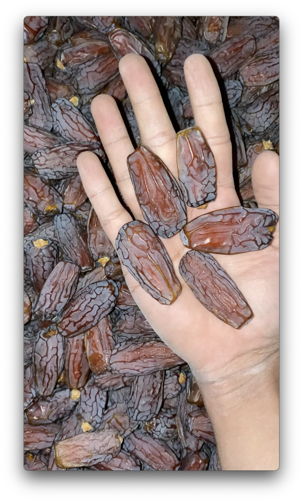 Gift Box Kurma Mabroom 250g