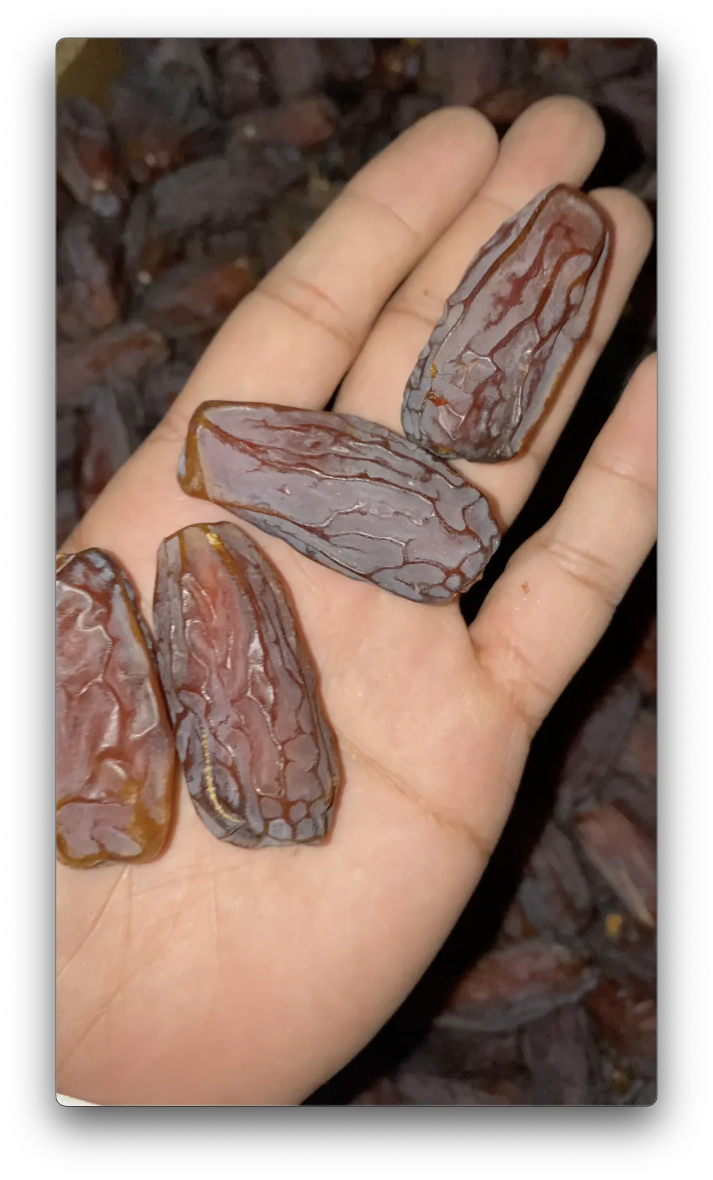 Kurma Mabroom Curah Karton 10kg