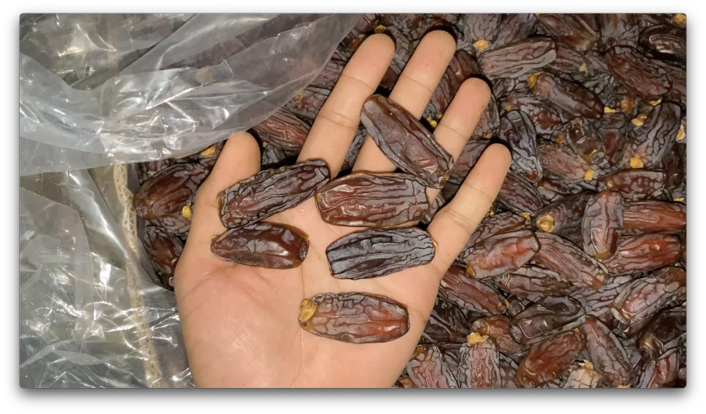 Kurma Mabroom Premium Grade AA 500g
